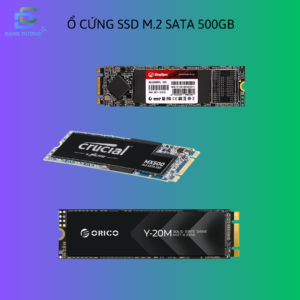 Ổ cứng SSD M2 SATA 500GB ( KingSpec , Orico , Crucial ... )